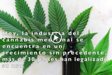 El uso medicinal del Cannabis