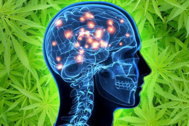 Cannabis medicinal restaura función normal del estado anímico con personas que sufren de depresión