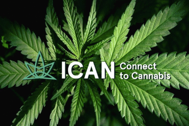 Postura oficial AMMCann reglamento cannabis CONAMER